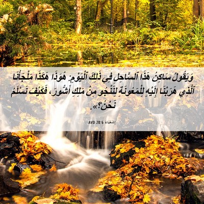 Picture 06 - إِشَعْيَاءَ 20:6 AVD - وَيَقُولُ سَاكِنُ هَذَا - Bible Verse Picture