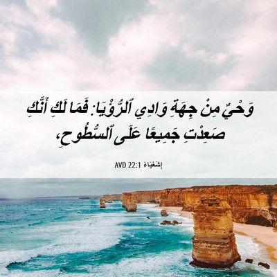 Picture 06 - إِشَعْيَاءَ 22:1 AVD - وَحْيٌ مِنْ جِهَةِ وَادِي - Bible Verse Picture
