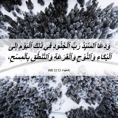 Picture 06 - إِشَعْيَاءَ 22:12 AVD - وَدَعَا ٱلسَّيِّدُ رَبُّ - Bible Verse Picture