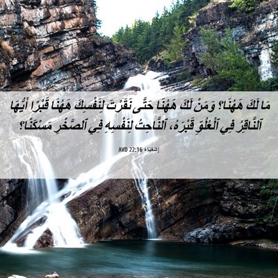 Picture 06 - إِشَعْيَاءَ 22:16 AVD - مَا لَكَ هَهُنَا؟ وَمَنْ - Bible Verse Picture