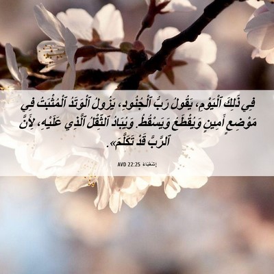Picture 06 - إِشَعْيَاءَ 22:25 AVD - فِي ذَلِكَ ٱلْيَوْمِ، - Bible Verse Picture
