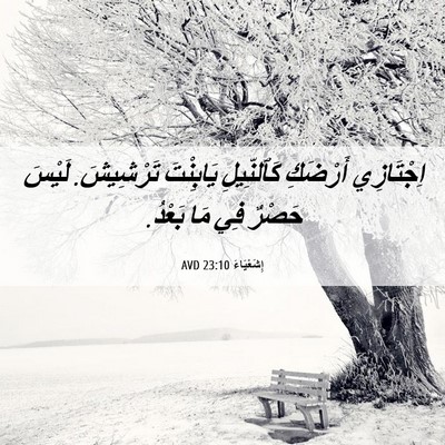 Picture 06 - إِشَعْيَاءَ 23:10 AVD - اِجْتَازِي أَرْضَكِ - Bible Verse Picture