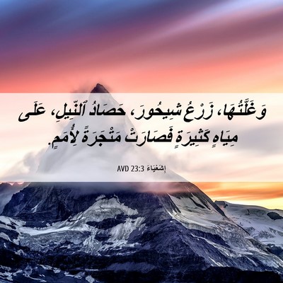 Picture 06 - إِشَعْيَاءَ 23:3 AVD - وَغَلَّتُهَا، زَرْعُ - Bible Verse Picture