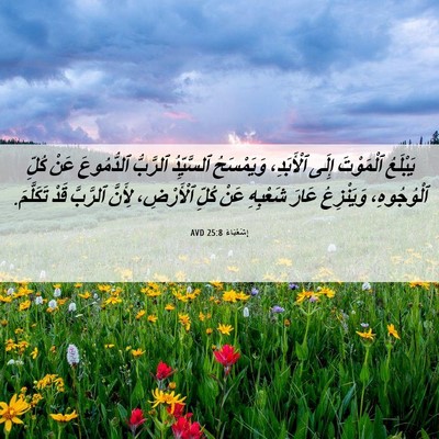 Picture 06 - إِشَعْيَاءَ 25:8 AVD - يَبْلَعُ ٱلْمَوْتَ إِلَى - Bible Verse Picture