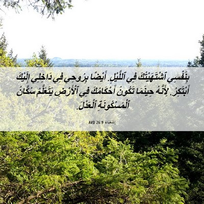 Picture 06 - إِشَعْيَاءَ 26:9 AVD - بِنَفْسِي ٱشْتَهَيْتُكَ - Bible Verse Picture