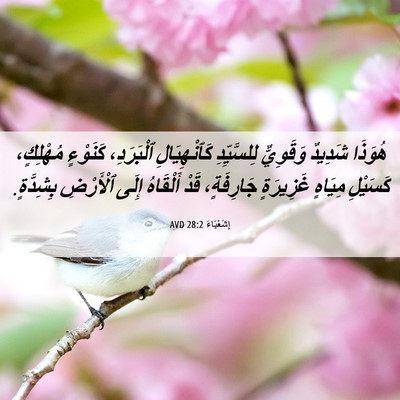 Picture 06 - إِشَعْيَاءَ 28:2 AVD - هُوَذَا شَدِيدٌ وَقَوِيٌّ - Bible Verse Picture