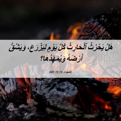 Picture 06 - إِشَعْيَاءَ 28:24 AVD - هَلْ يَحْرُثُ ٱلْحَارِثُ - Bible Verse Picture