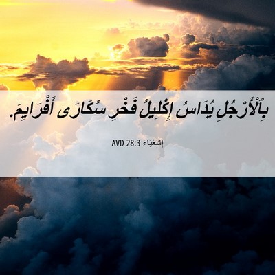 Picture 06 - إِشَعْيَاءَ 28:3 AVD - بِٱلْأَرْجُلِ يُدَاسُ - Bible Verse Picture