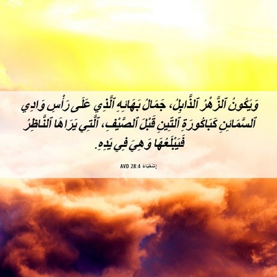 Picture 06 - إِشَعْيَاءَ 28:4 AVD - وَيَكُونُ ٱلزَّهْرُ - Bible Verse Picture