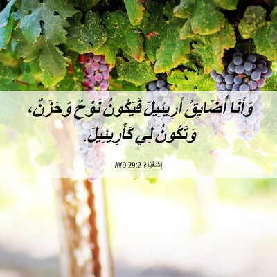 Picture 06 - إِشَعْيَاءَ 29:2 AVD - وَأَنَا أُضَايِقُ - Bible Verse Picture