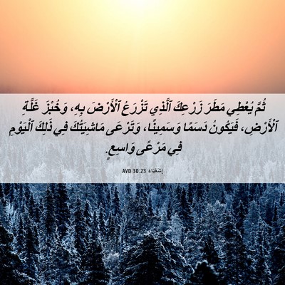 Picture 06 - إِشَعْيَاءَ 30:23 AVD - ثُمَّ يُعْطِي مَطَرَ - Bible Verse Picture