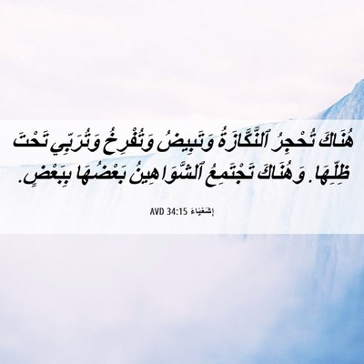 Picture 06 - إِشَعْيَاءَ 34:15 AVD - هُنَاكَ تُحْجِرُ - Bible Verse Picture