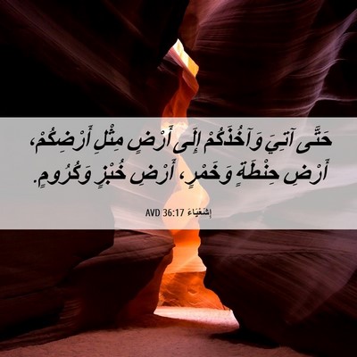 Picture 06 - إِشَعْيَاءَ 36:17 AVD - حَتَّى آتِيَ وَآخُذَكُمْ - Bible Verse Picture