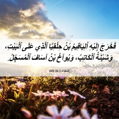 Picture 06 - إِشَعْيَاءَ 36:3 AVD - فَخَرَجَ إِلَيْهِ - Bible Verse Picture