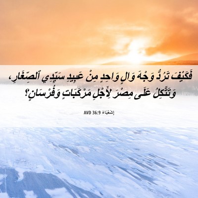 Picture 06 - إِشَعْيَاءَ 36:9 AVD - فَكَيْفَ تَرُدُّ وَجْهَ - Bible Verse Picture