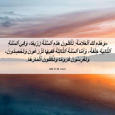 Picture 06 - إِشَعْيَاءَ 37:30 AVD - «وَهَذِهِ لَكَ - Bible Verse Picture