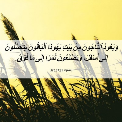 Picture 06 - إِشَعْيَاءَ 37:31 AVD - وَيَعُودُ ٱلنَّاجُونَ - Bible Verse Picture