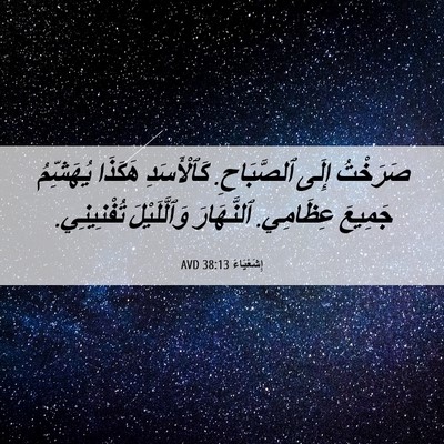 Picture 06 - إِشَعْيَاءَ 38:13 AVD - صَرَخْتُ إِلَى ٱلصَّبَاحِ. - Bible Verse Picture