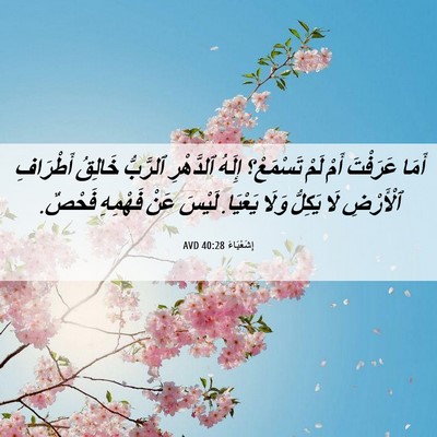 Picture 06 - إِشَعْيَاءَ 40:28 AVD - أَمَا عَرَفْتَ أَمْ لَمْ - Bible Verse Picture