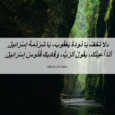 Picture 06 - إِشَعْيَاءَ 41:14 AVD - «لَا تَخَفْ يَا دُودَةَ - Bible Verse Picture