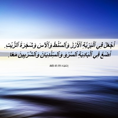Picture 06 - إِشَعْيَاءَ 41:19 AVD - أَجْعَلُ فِي - Bible Verse Picture