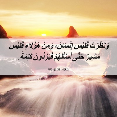 Picture 06 - إِشَعْيَاءَ 41:28 AVD - وَنَظَرْتُ فَلَيْسَ - Bible Verse Picture