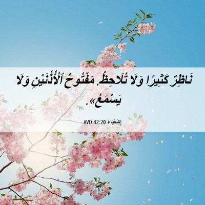 Picture 06 - إِشَعْيَاءَ 42:20 AVD - نَاظِرٌ كَثِيرًا وَلَا - Bible Verse Picture