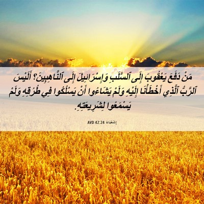 Picture 06 - إِشَعْيَاءَ 42:24 AVD - مَنْ دَفَعَ يَعْقُوبَ - Bible Verse Picture