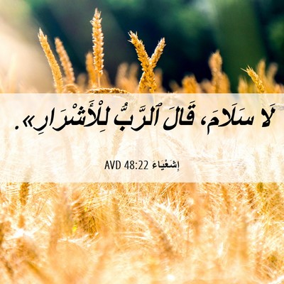 Picture 06 - إِشَعْيَاءَ 48:22 AVD - لَا سَلَامَ، قَالَ - Bible Verse Picture