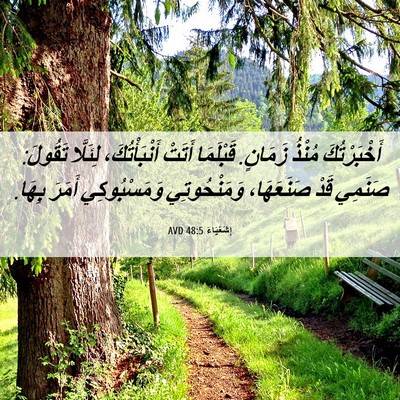 Picture 06 - إِشَعْيَاءَ 48:5 AVD - أَخْبَرْتُكَ مُنْذُ - Bible Verse Picture