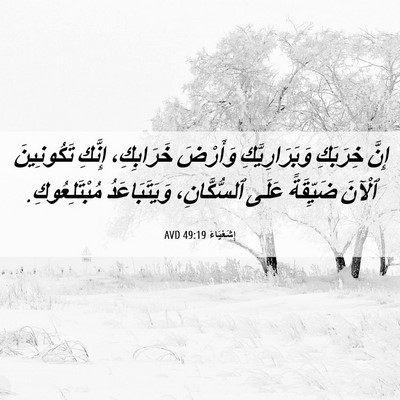 Picture 06 - إِشَعْيَاءَ 49:19 AVD - إِنَّ خِرَبَكِ - Bible Verse Picture