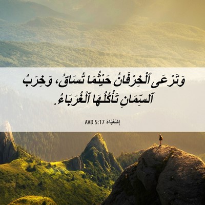 Picture 06 - إِشَعْيَاءَ 5:17 AVD - وَتَرْعَى ٱلْخِرْفَانُ - Bible Verse Picture