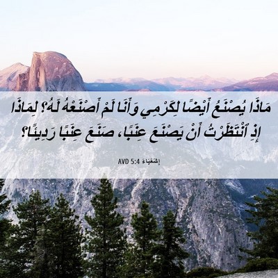 Picture 06 - إِشَعْيَاءَ 5:4 AVD - مَاذَا يُصْنَعُ أَيْضًا - Bible Verse Picture