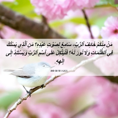 Picture 06 - إِشَعْيَاءَ 50:10 AVD - مَنْ مِنْكُمْ خَائِفُ - Bible Verse Picture
