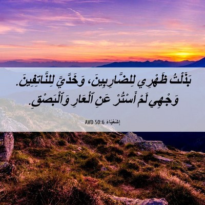 Picture 06 - إِشَعْيَاءَ 50:6 AVD - بَذَلْتُ ظَهْرِي - Bible Verse Picture