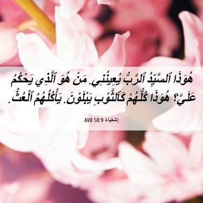 Picture 06 - إِشَعْيَاءَ 50:9 AVD - هُوَذَا ٱلسَّيِّدُ - Bible Verse Picture