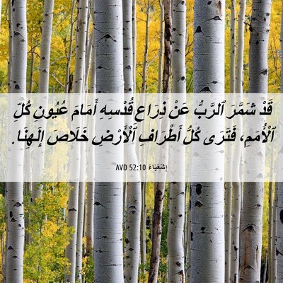 Picture 06 - إِشَعْيَاءَ 52:10 AVD - قَدْ شَمَّرَ ٱلرَّبُّ عَنْ - Bible Verse Picture