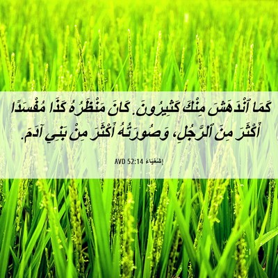 Picture 06 - إِشَعْيَاءَ 52:14 AVD - كَمَا ٱنْدَهَشَ مِنْكَ - Bible Verse Picture