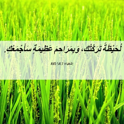 Picture 06 - إِشَعْيَاءَ 54:7 AVD - لُحَيْظَةً تَرَكْتُكِ، - Bible Verse Picture