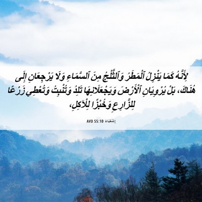 Picture 06 - إِشَعْيَاءَ 55:10 AVD - لِأَنَّهُ كَمَا يَنْزِلُ - Bible Verse Picture