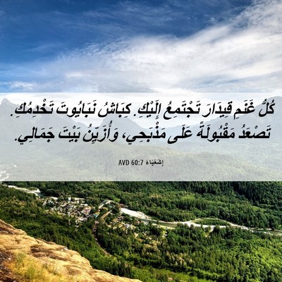Picture 06 - إِشَعْيَاءَ 60:7 AVD - كُلُّ غَنَمِ قِيدَارَ - Bible Verse Picture