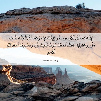 Picture 06 - إِشَعْيَاءَ 61:11 AVD - لِأَنَّهُ كَمَا أَنَّ - Bible Verse Picture
