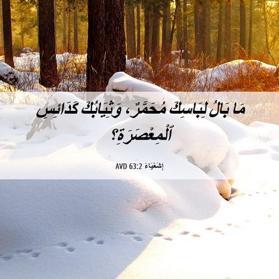 Picture 06 - إِشَعْيَاءَ 63:2 AVD - مَا بَالُ لِبَاسِكَ - Bible Verse Picture