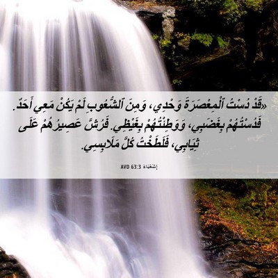 Picture 06 - إِشَعْيَاءَ 63:3 AVD - «قَدْ دُسْتُ - Bible Verse Picture