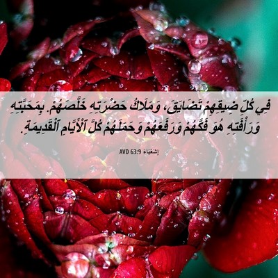 Picture 06 - إِشَعْيَاءَ 63:9 AVD - فِي كُلِّ ضِيقِهِمْ - Bible Verse Picture