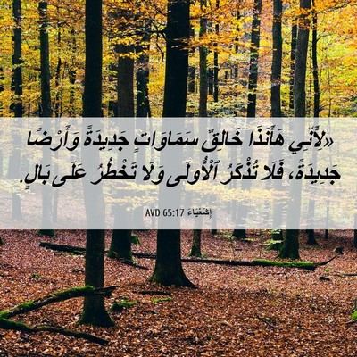 Picture 06 - إِشَعْيَاءَ 65:17 AVD - «لِأَنِّي هَأَنَذَا - Bible Verse Picture
