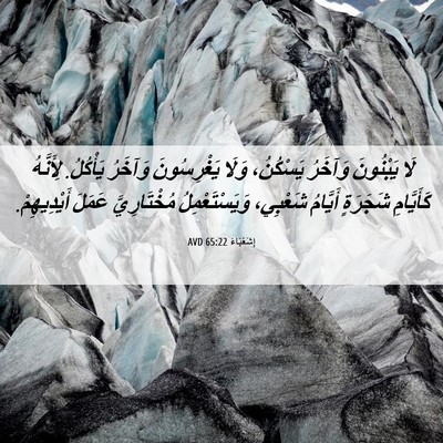 Picture 06 - إِشَعْيَاءَ 65:22 AVD - لَا يَبْنُونَ وَآخَرُ - Bible Verse Picture