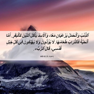 Picture 06 - إِشَعْيَاءَ 65:25 AVD - ٱلذِّئْبُ وَٱلْحَمَلُ - Bible Verse Picture