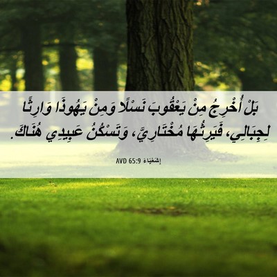 Picture 06 - إِشَعْيَاءَ 65:9 AVD - بَلْ أُخْرِجُ مِنْ - Bible Verse Picture