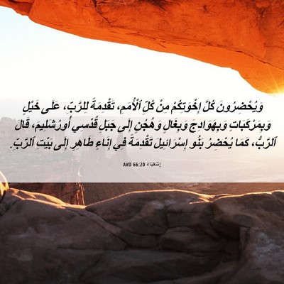 Picture 06 - إِشَعْيَاءَ 66:20 AVD - وَيُحْضِرُونَ كُلَّ - Bible Verse Picture